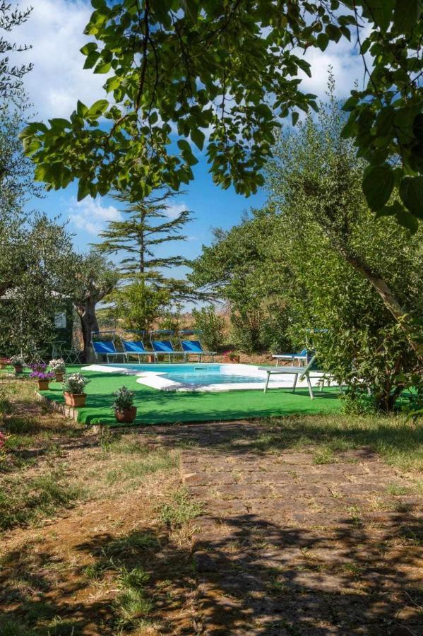 La Meriggia Agriturismo- Ampio Appartamento Con Terrazza Esclusiva アンコーナ エクステリア 写真